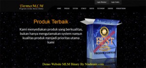 Website MLM Binary Pin Serial Komisi Reward